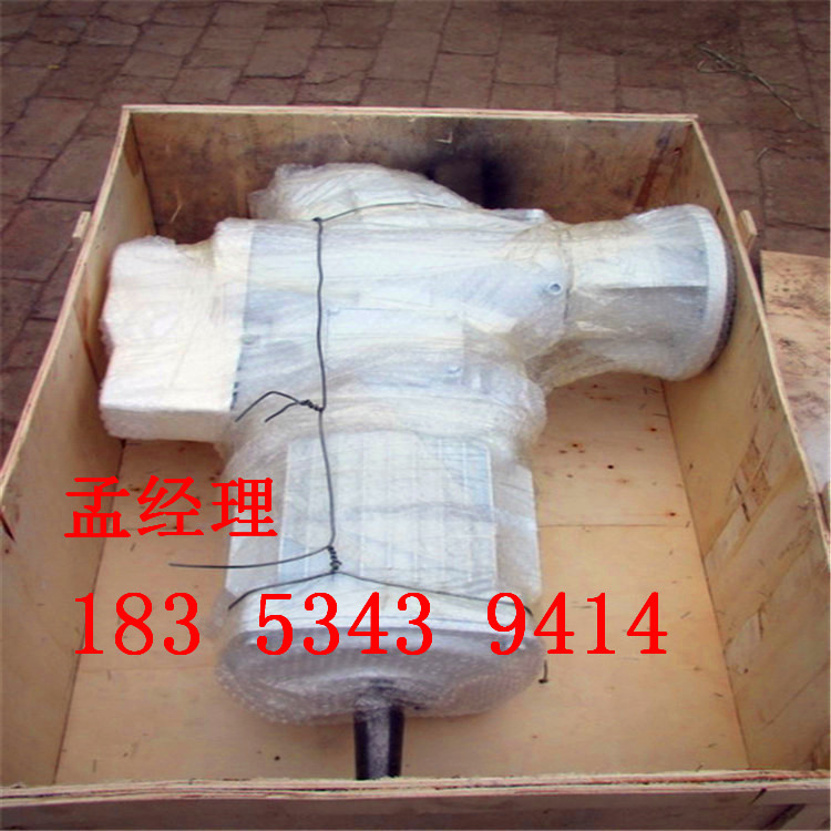 供應(yīng)小型風(fēng)力發(fā)電機(jī)300W晟成綠色環(huán)保廠家直銷