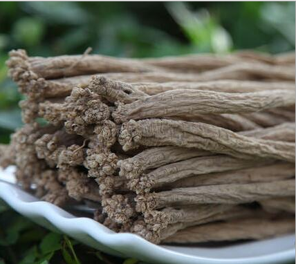 恩施板橋特產(chǎn)經(jīng)銷批發(fā)  恩施板橋特產(chǎn)種植黨參