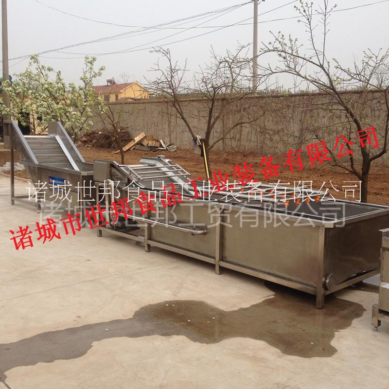 果蔬清洗機廠家熱銷 大棗清洗機 菠菜清洗機