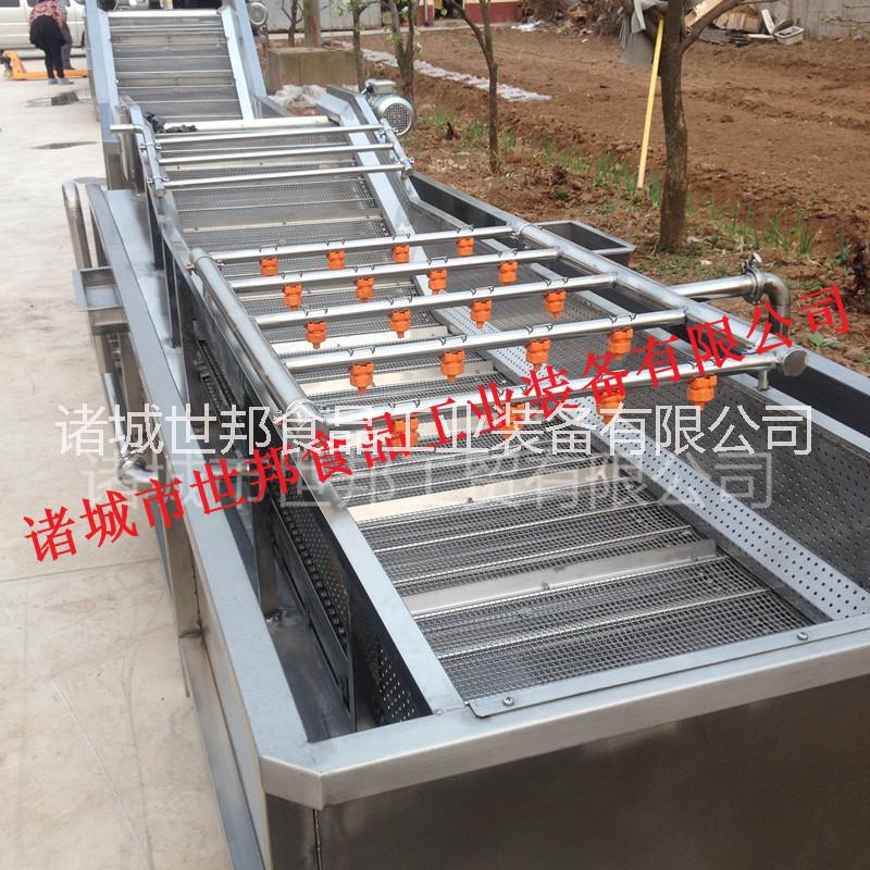 果蔬清洗機廠家熱銷 大棗清洗機 菠菜清洗機