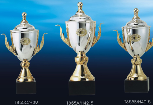 廣州優(yōu)質(zhì)特色金屬獎杯，廠家供應(yīng)精美榮譽(yù)紀(jì)念獎杯，現(xiàn)貨批發(fā)銷售 廣州優(yōu)質(zhì)獎杯，廠家供應(yīng)榮譽(yù)獎杯