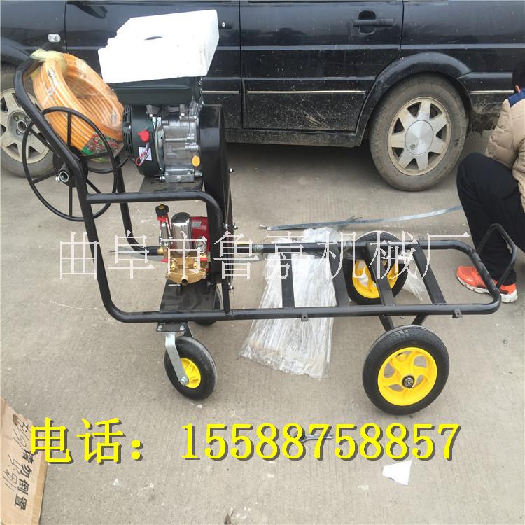 打藥機(jī) 廠家直銷手推式打藥機(jī) 遠(yuǎn)程打藥機(jī)