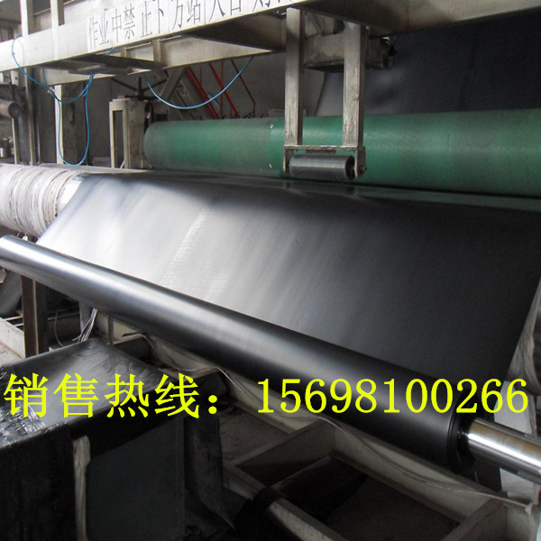 鑫基地160型土工膜設備熱銷塑料機械