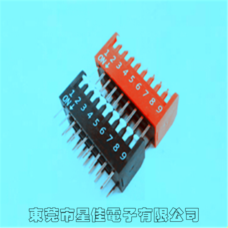 廠家專業(yè)生產(chǎn)撥碼開關(guān) 琴鍵式撥碼 程序開關(guān)DS-01