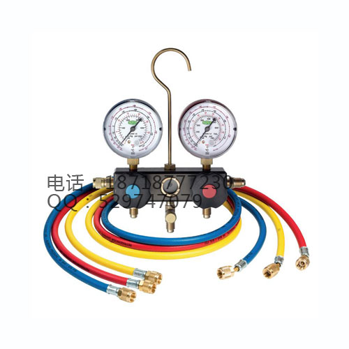 供應(yīng)瑞士威科REFCO進(jìn)口BM2-6-DS-R2空調(diào)加氟表