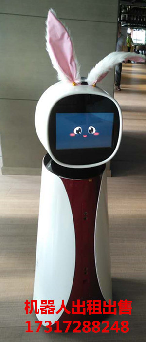 中國最紅機(jī)器人出租出售