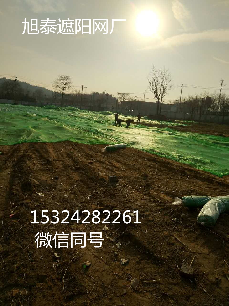 生產(chǎn)抗老化防輻射2針黑色遮陽網(wǎng)