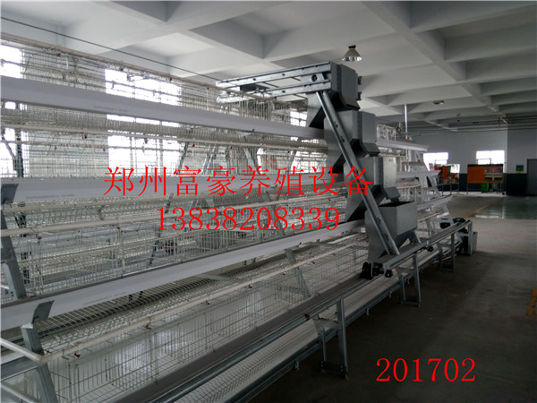 自動(dòng)化養(yǎng)雞設(shè)備階梯撿蛋機(jī) 皮帶清
