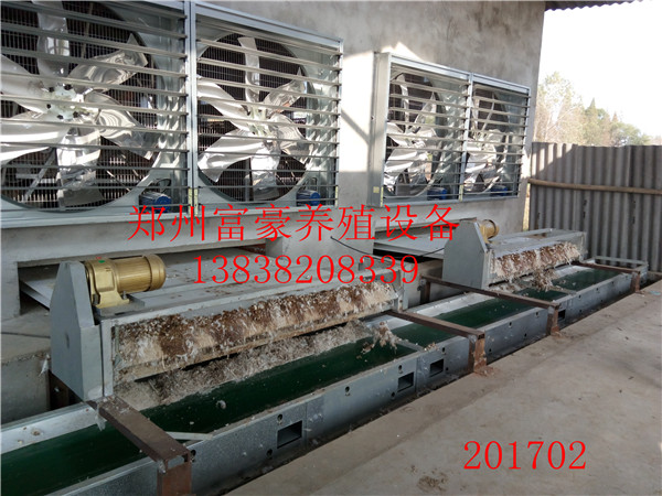 自動(dòng)化養(yǎng)雞設(shè)備階梯撿蛋機(jī) 皮帶清