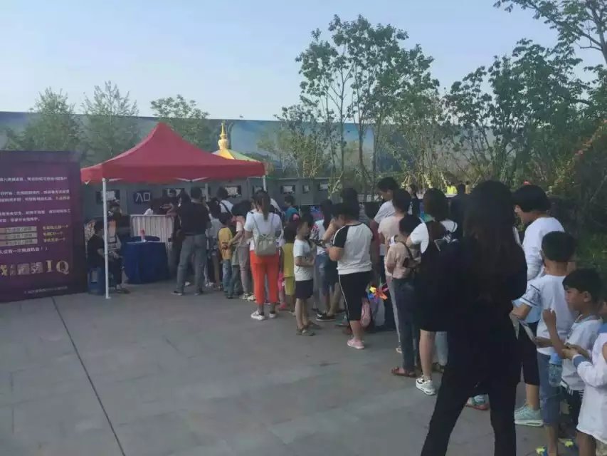 最強(qiáng)大腦蜂窩迷宮出租 蜂窩迷宮出租公司 蜂窩迷宮出租信息