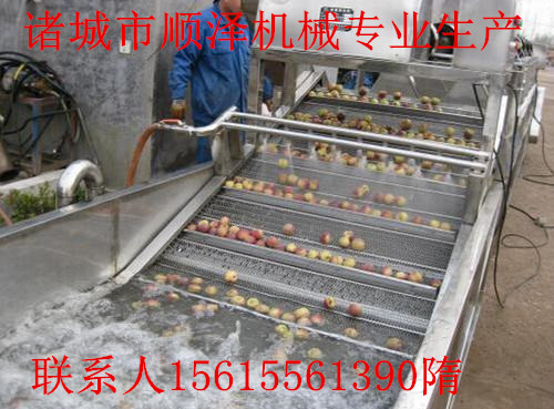 廠家直銷云南野竹筍清洗機 全自動鼓泡式清洗機 各種型號蔬菜清洗機