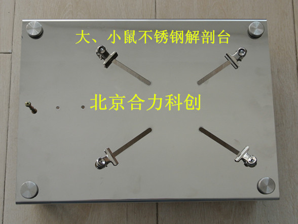 小鼠 蛙解剖臺(tái) 價(jià)格