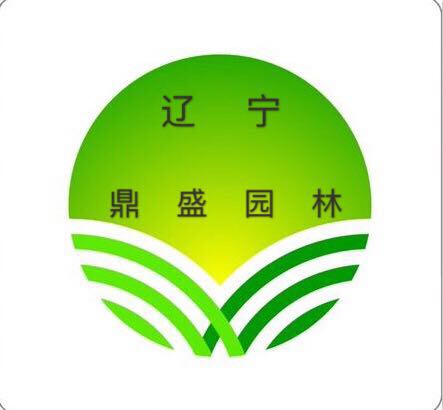 遼寧沈陽皂角基地|遼寧皂角求購|遼寧皂角批發(fā) 皂角樹 沈陽皂角樹
