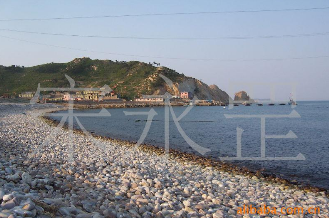 收藏*-----渤海灣長島天然奇異圖案鵝卵石