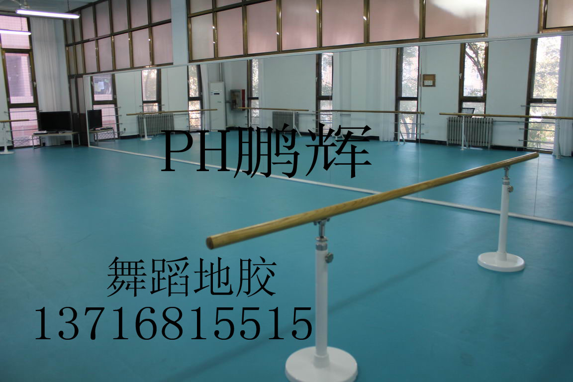 舞蹈教室/*舞蹈地板地 *舞蹈地板地膠