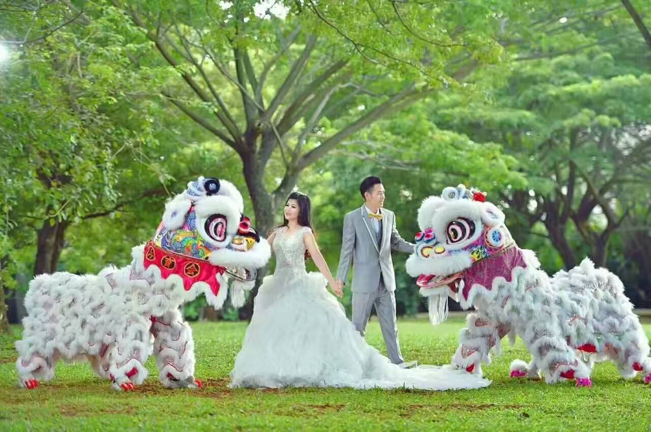 廣東專業(yè)舞龍舞獅