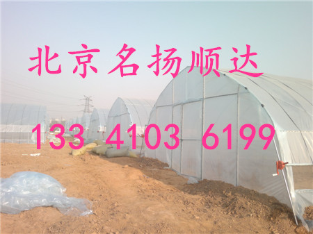北京蔬菜大棚溫室