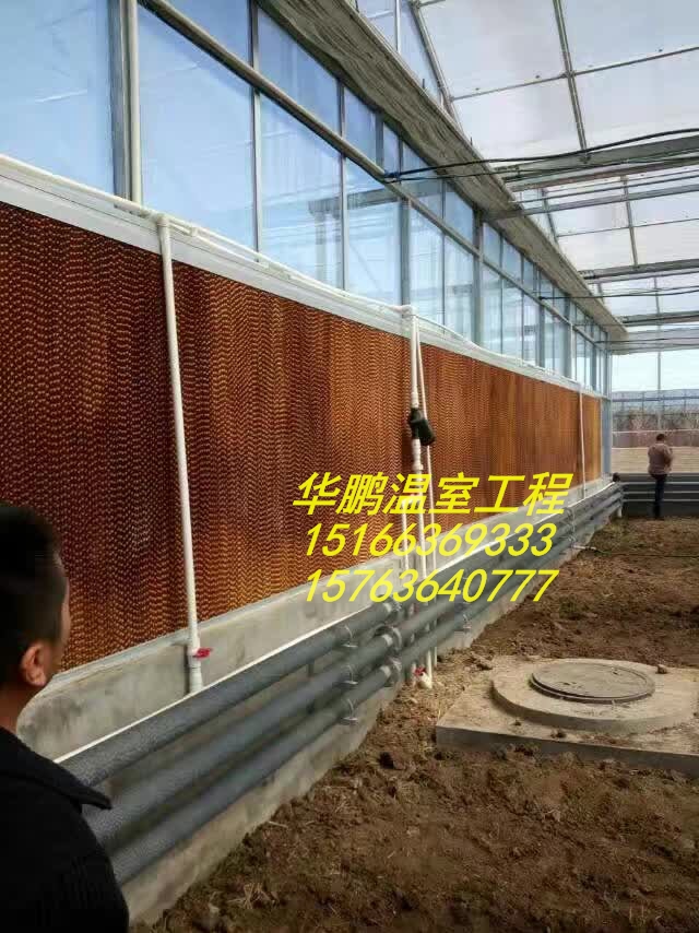 玻璃溫室建設(shè)、連棟溫室建設(shè) 玻璃溫室建設(shè)、連棟溫室建設(shè)、大棚