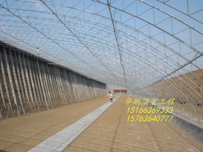 蔬菜大棚建設(shè)、溫室大棚建設(shè)、種苗