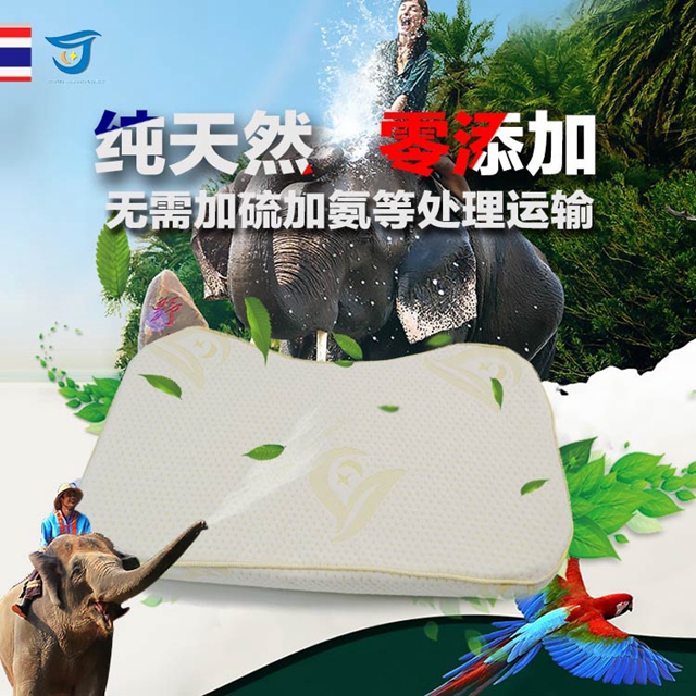 泰國乳膠枕*，誠招全國代理