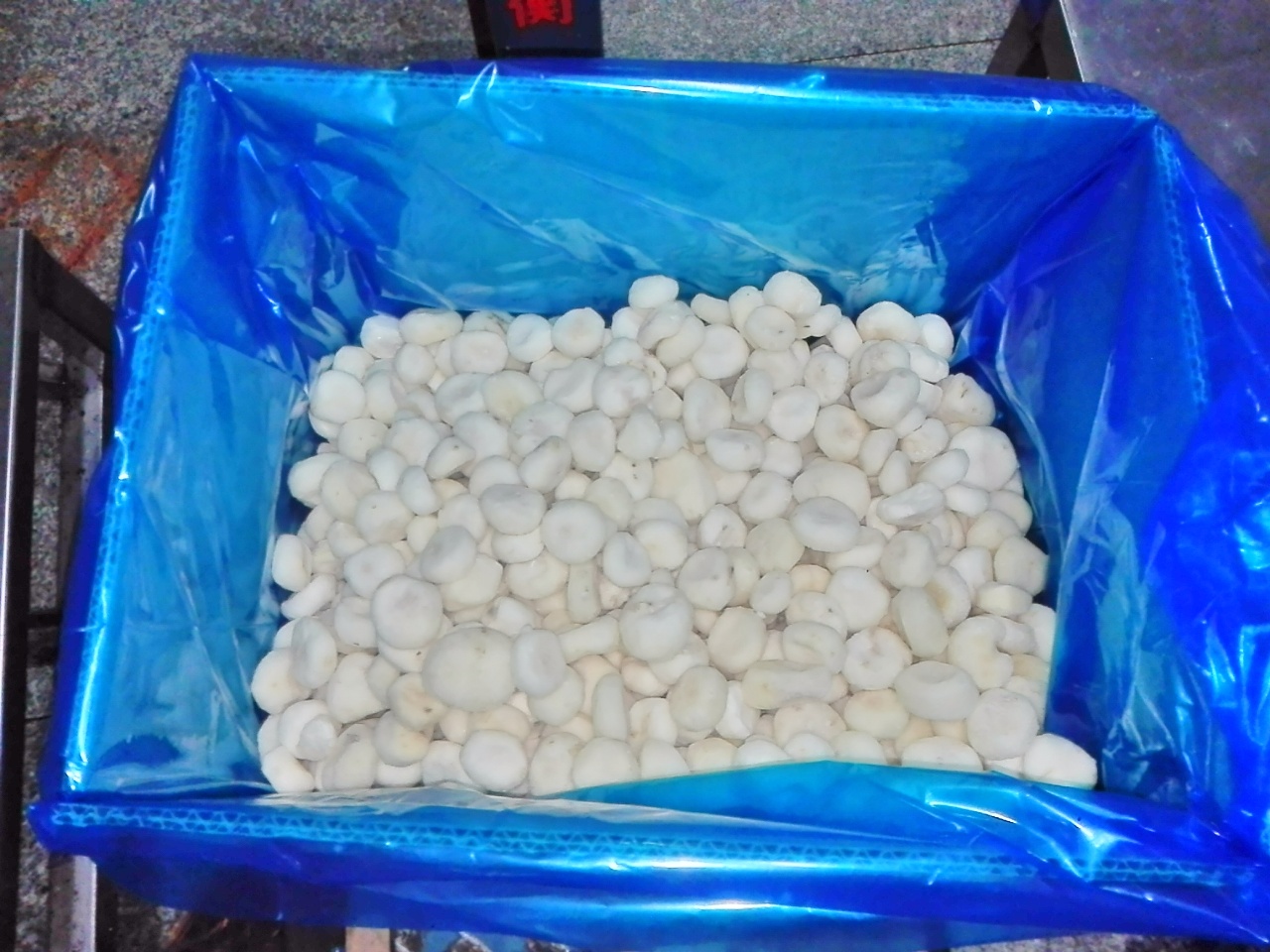 廠家直銷速凍馬蹄，優(yōu)質(zhì)水果，新鮮水果