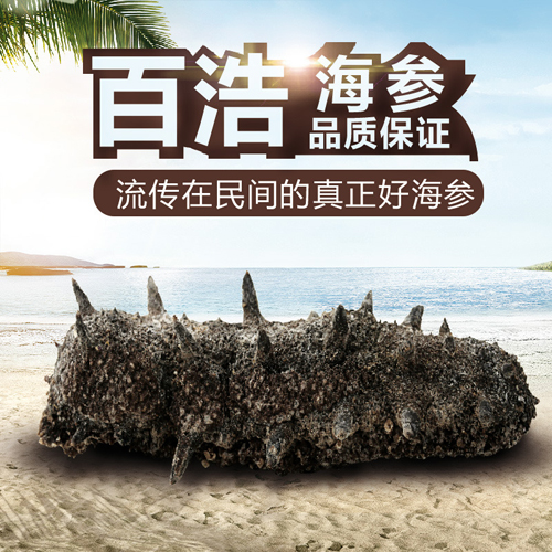 百浩牌 *淡干海參禮盒 500g 60-70頭 *淡干海參