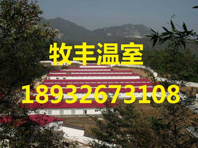 保溫雞舍多少錢一平米@河南保溫雞舍造價@河南標(biāo)準(zhǔn)化保溫雞舍
