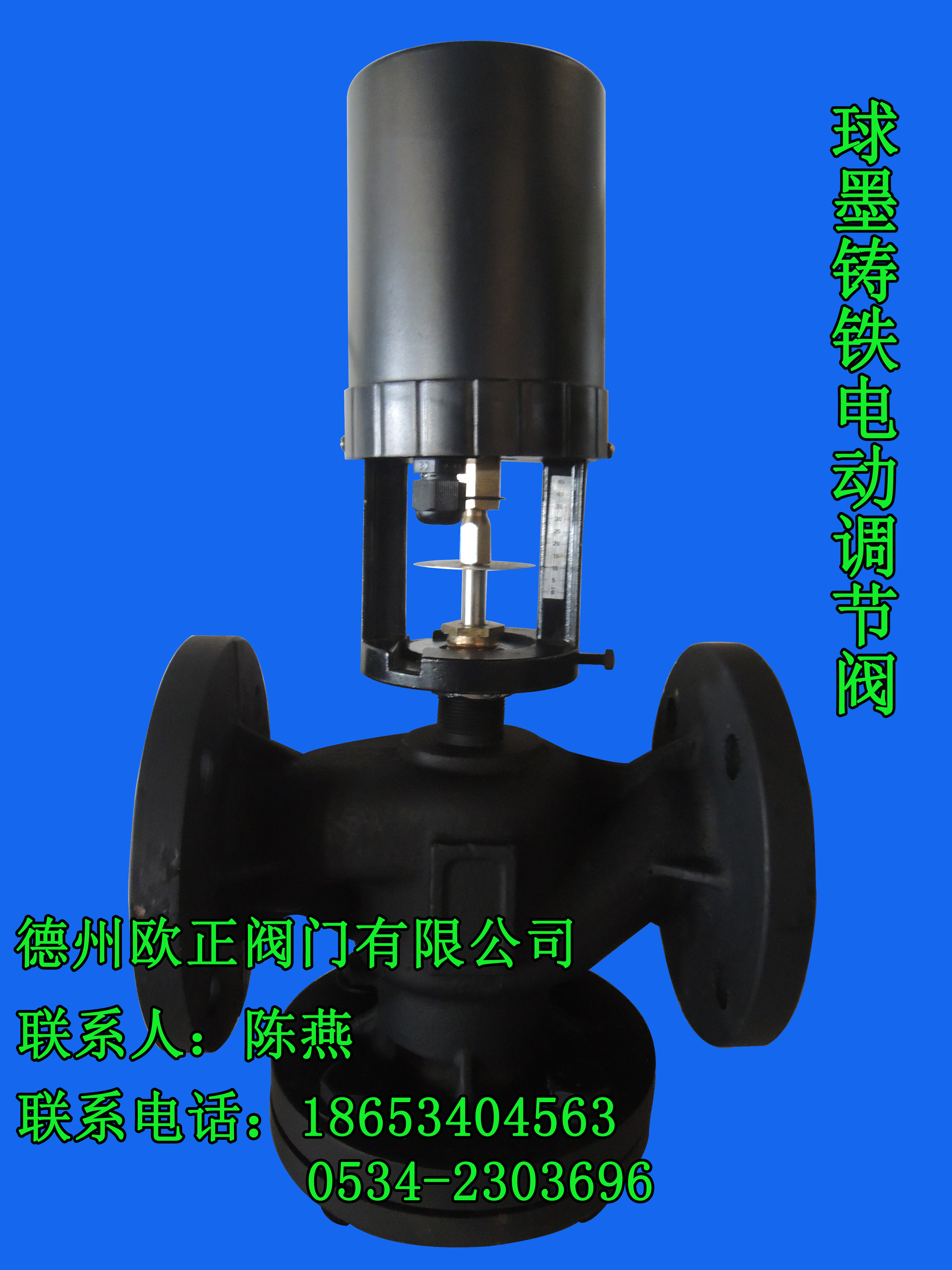 山東球墨鑄鐵電動調(diào)節(jié)閥廠家/球墨鑄鐵電動調(diào)節(jié)閥價(jià)格/球墨鑄鐵電動調(diào)節(jié)閥