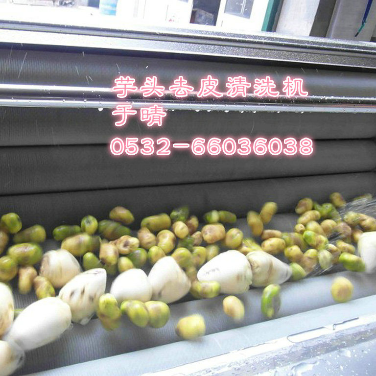 獼猴桃清洗去皮機，量大優(yōu)惠