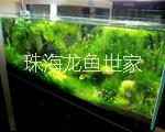 珠海大量魚缸批發(fā)零售 珠海市批量銷售玻璃魚缸