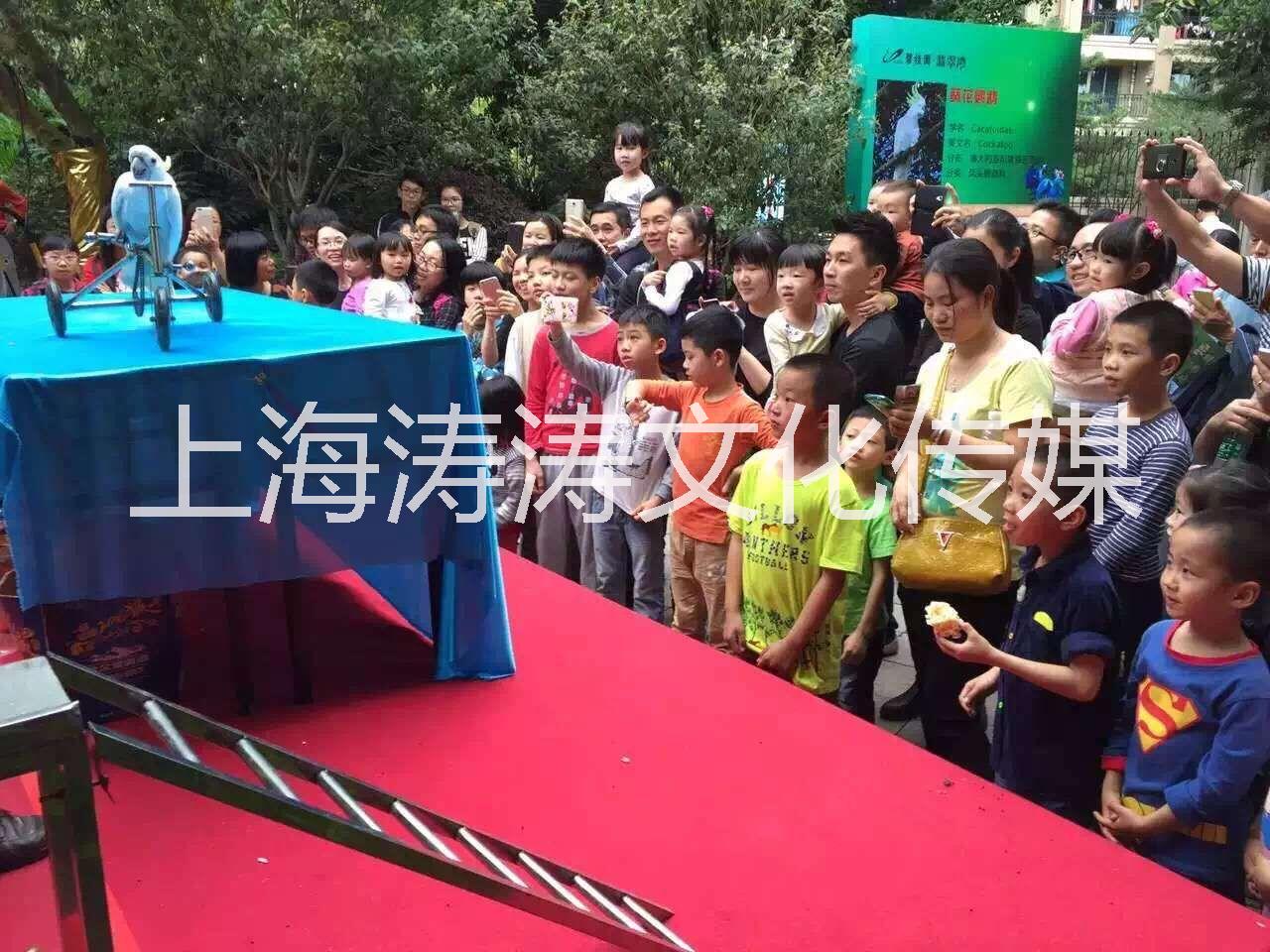 春季暖場活動推薦百鳥主題展百鳥巡展鸚鵡表演出租 百鳥巡展出租