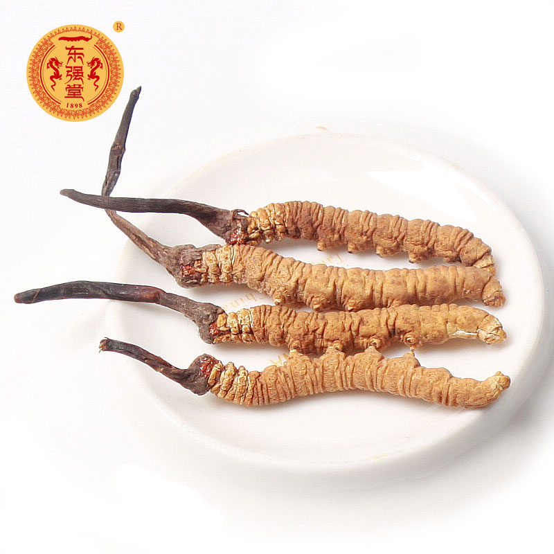 東強(qiáng)堂玉樹冬蟲夏草 4條1克