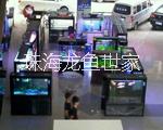 珠海大量魚(yú)缸定制 海鮮池 魚(yú)池定