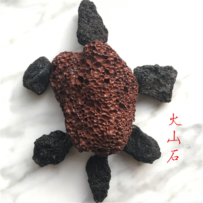 火山石圣恒供應(yīng)火山石 多肉植物用 水族館用