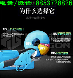 翔工電動果樹修剪機(jī)電動剪枝剪生產(chǎn)