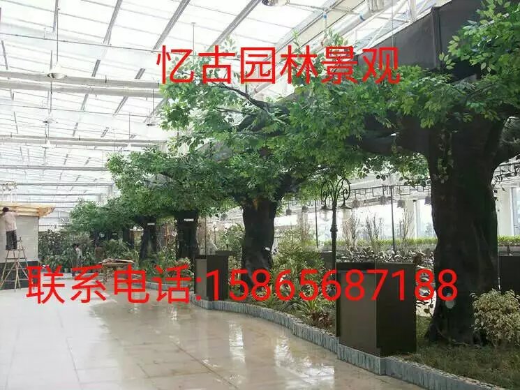 徐州仿木假樹多少錢 徐州仿木假樹報價 徐州仿木假樹報價