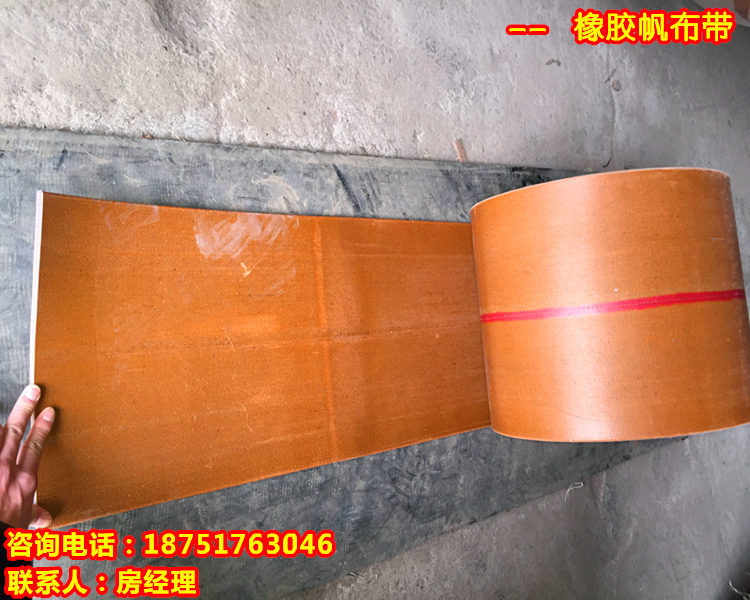 提升機(jī)皮帶 普通平膠帶 全棉帆布帶