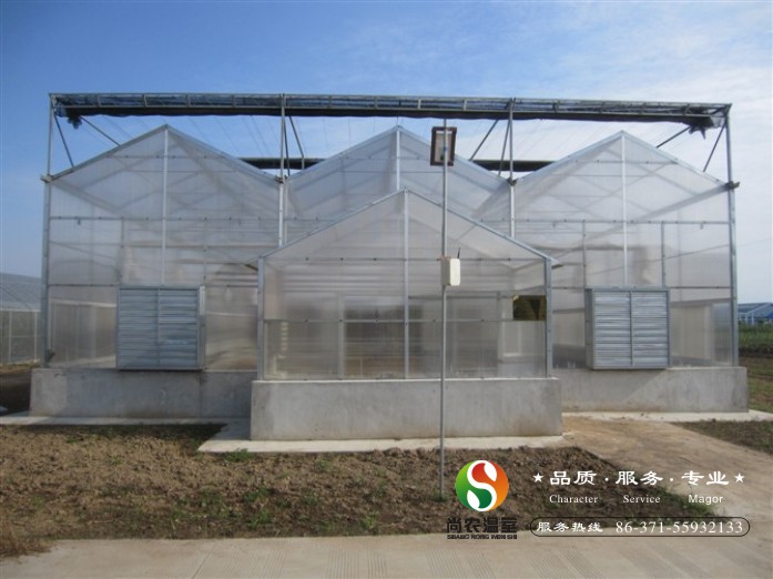 尚農(nóng)溫室大棚 河南尚農(nóng)溫室大棚 尚農(nóng)溫室大棚 陽光板溫室大棚價格