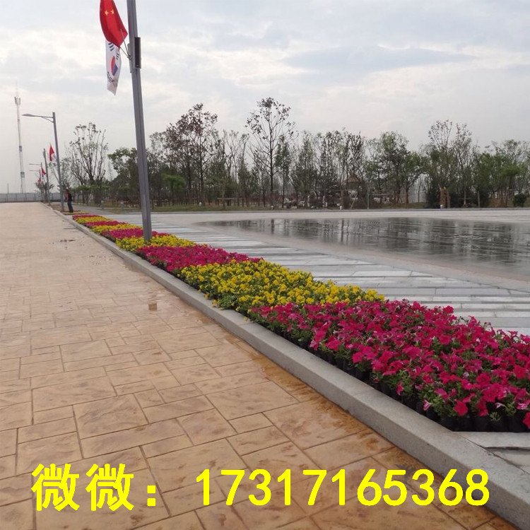 嘉興壓印地坪仿石仿木