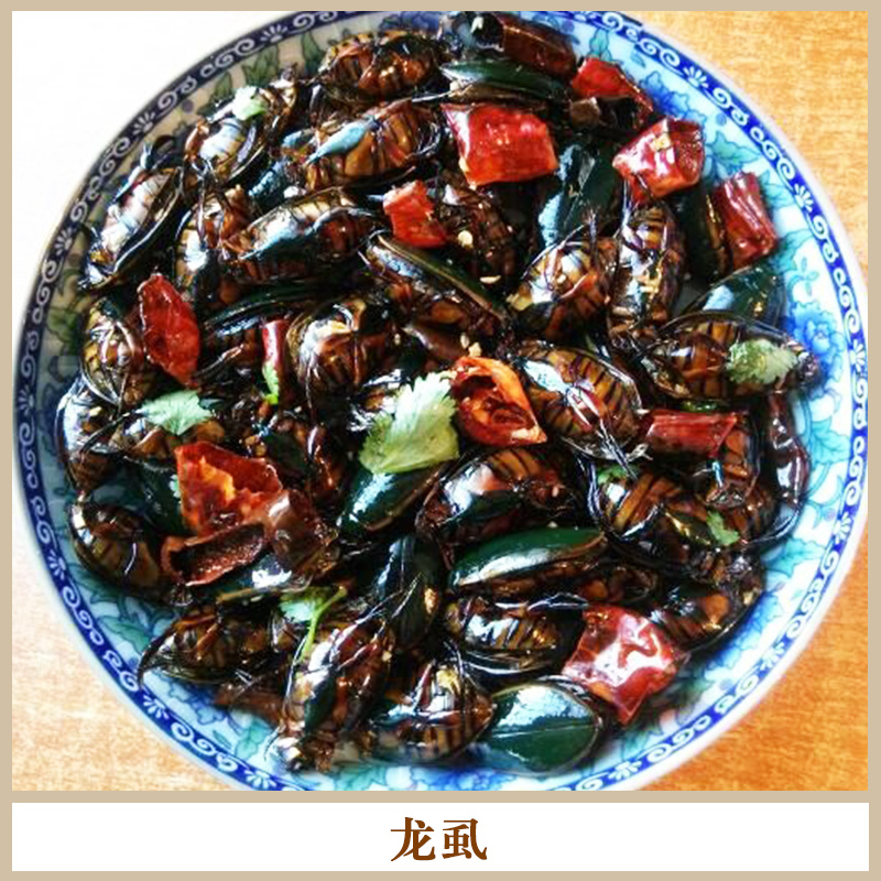 正品中藥食材冰鮮龍虱 營養(yǎng)豐富高蛋白食用金邊龍虱/水蟑螂/鱉蟲