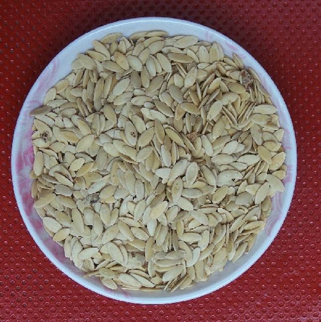 山東牡丹江黃瓜子價(jià)格@山東收購牡丹江黃瓜子@山東牡丹江黃瓜子出售