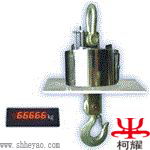 供應(yīng)防爆吊磅 電子防爆吊磅   OCS防爆吊鉤秤