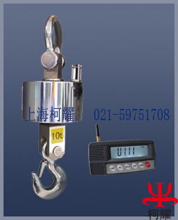供應(yīng)30噸吊秤 30噸電子吊秤