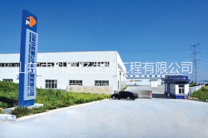 干酪乳桿菌 凍干型乳酸菌原料菌粉