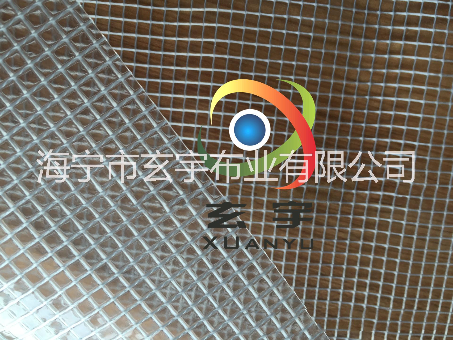 浙江供應(yīng)1000*1000/6*6的PVC透明夾網(wǎng)布、箱包面料 透明布，夾網(wǎng)布  玄宇布業(yè)