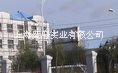 瀏河墻面噴漿
