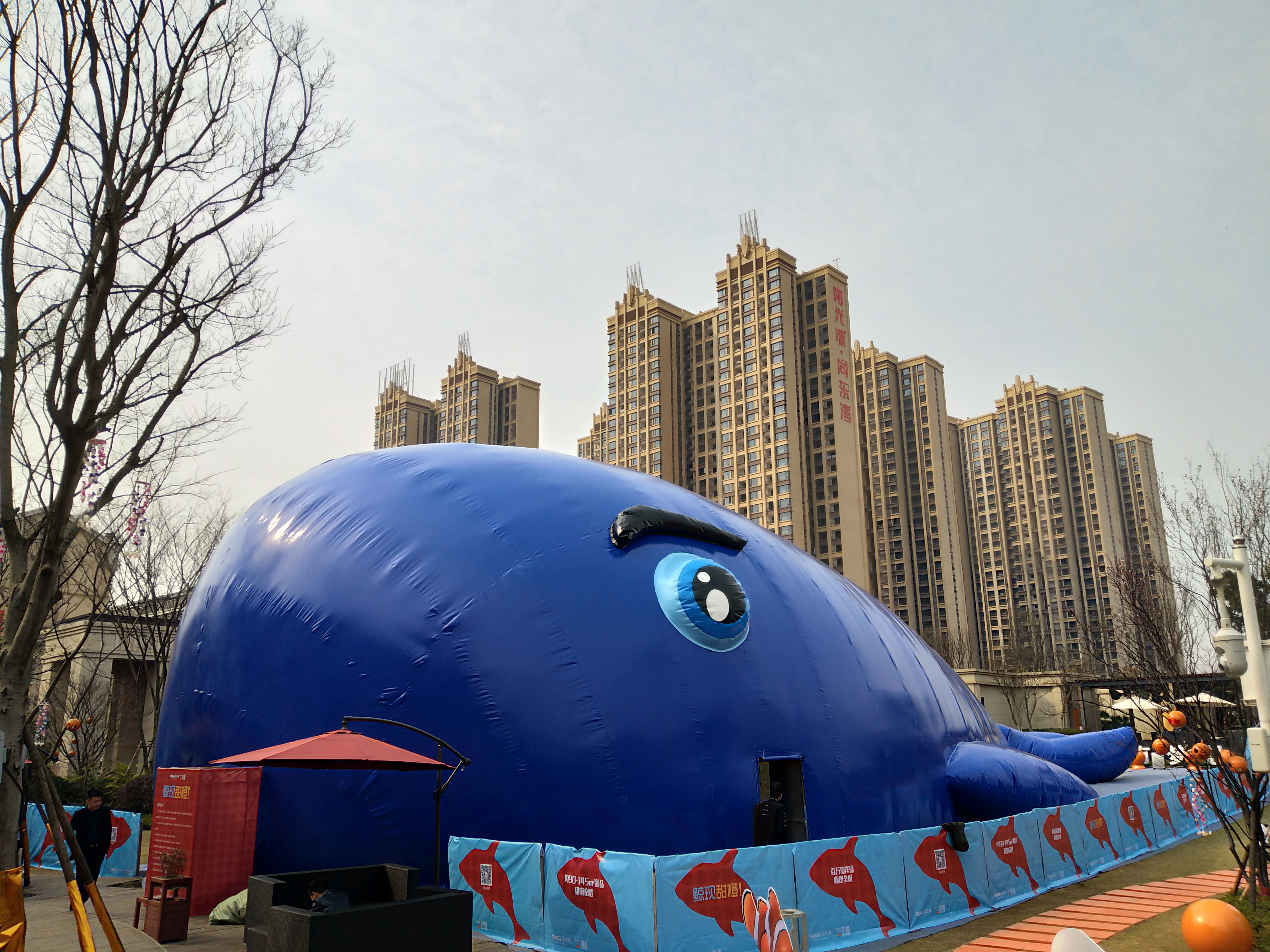 鯨魚島 租賃 展覽展示*主題 鯨魚島租賃 展覽展示*主題 什么事鯨魚島 什么事鏡花宮