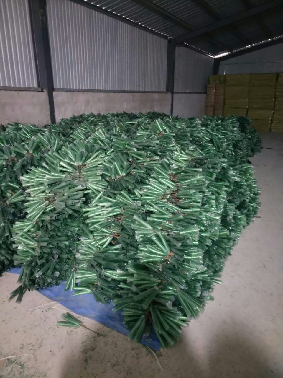 山東圣誕樹出廠價 山東圣誕樹哪家好 山東圣誕樹報價多少