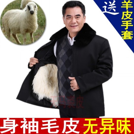 供應(yīng)澳洲羔羊皮襖皮毛一體*保暖抗風(fēng)中老年服飾 羊皮襖皮毛一體加厚身袖全皮活面內(nèi)