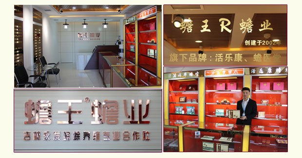 蟾蜍養(yǎng)殖 蟾蜍養(yǎng)殖技術(shù) 養(yǎng)殖場地
